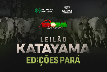 LEILÃO KATAYAMA - EDIÇÕES PARÁ